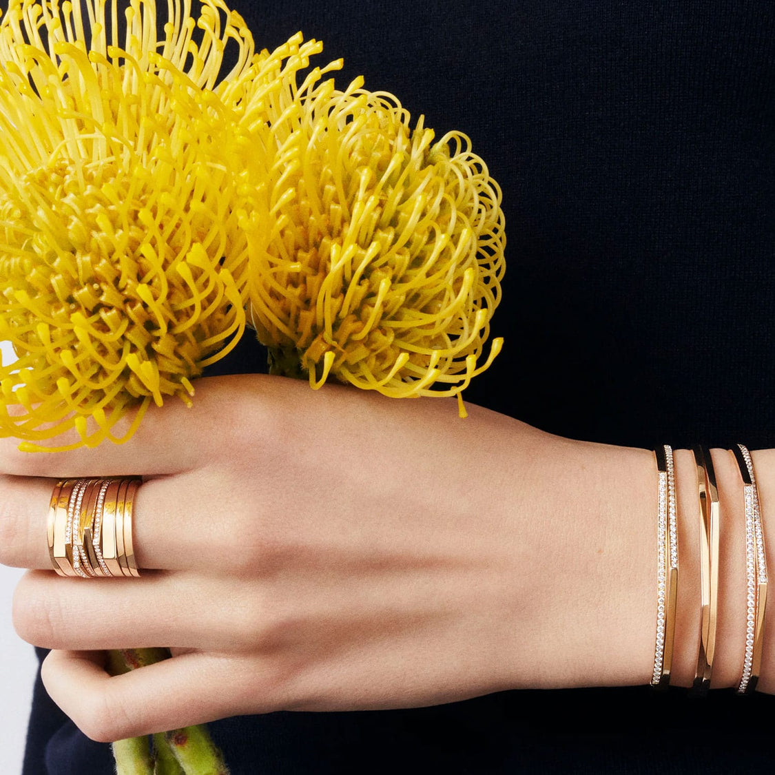 Jewelry Collection: Timeless Elegance for Every Occasion